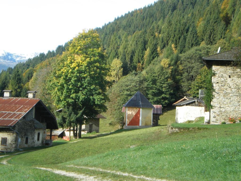 Serenella