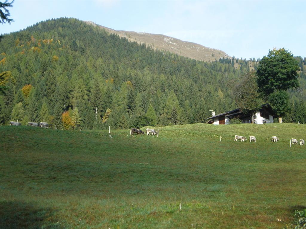 Serenella Hotel 2*