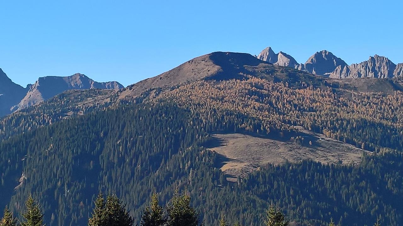 Serenella 2*