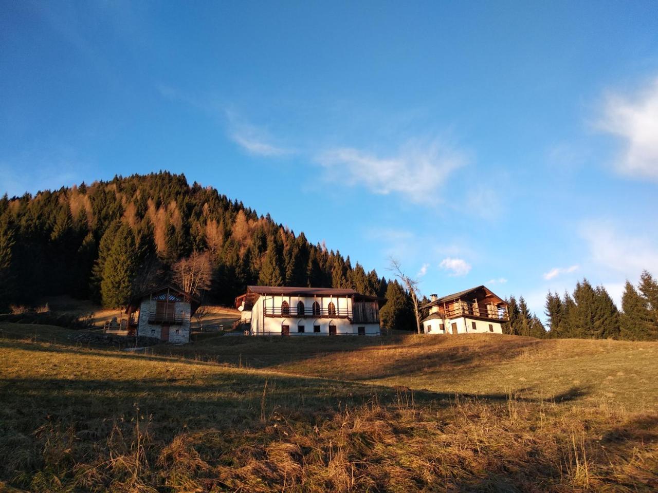 Serenella 2*